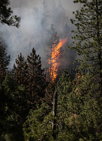SRX ANDRUS RD FIRE 16