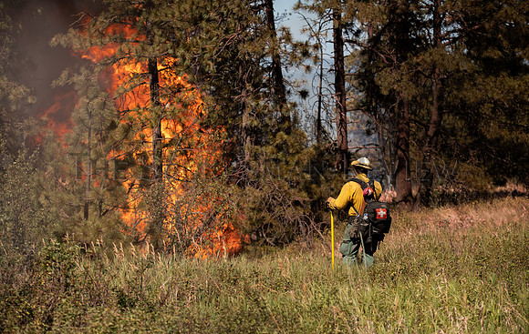 SRX ANDRUS RD FIRE 9