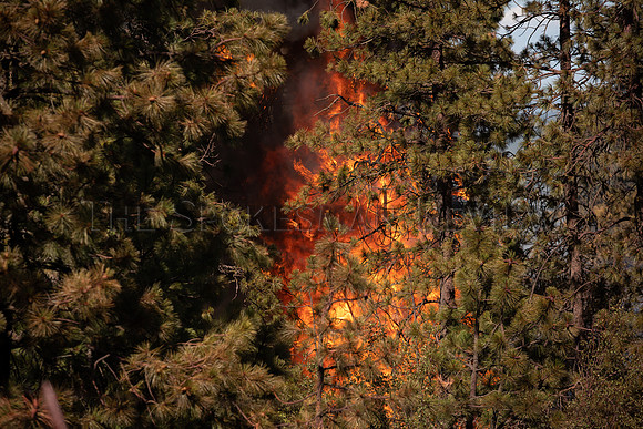 SRX ANDRUS RD FIRE 3