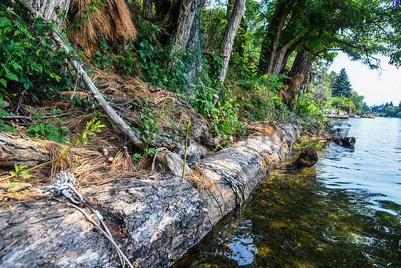 SRX RIVERBANK EROSION 4