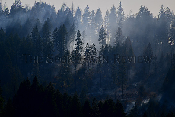 SRX_FIRE_004_tt