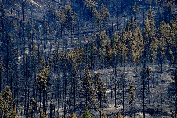 SRX_CHUWEAHFIRE_009_tt