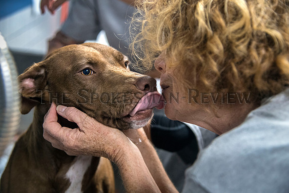 SRX HUMANE SOCIETY 8