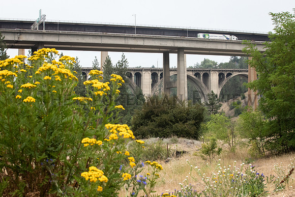 SRX SMOKEY SPOKANE 2