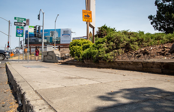 SRX CITY SHRUBBERY 1