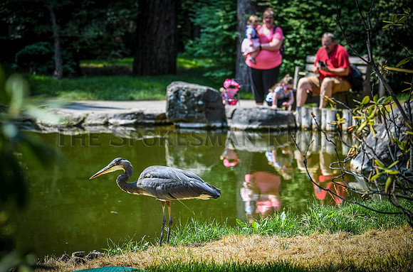 SRX JAPANESE GARDEN 6