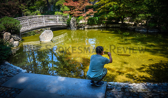 SRX JAPANESE GARDEN 2