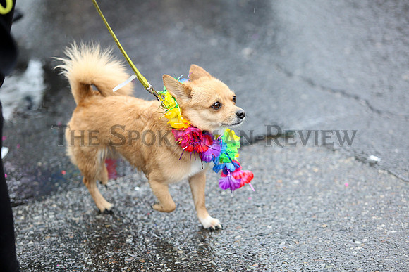 SRX 2018 Pride 1