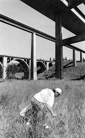 Bridge_128