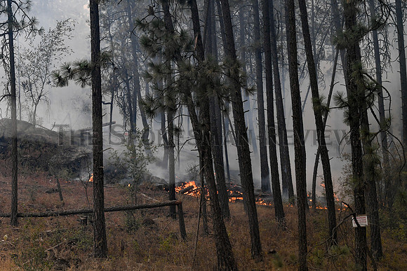SRX_FORDCORKSCREWFIRE_008_tt
