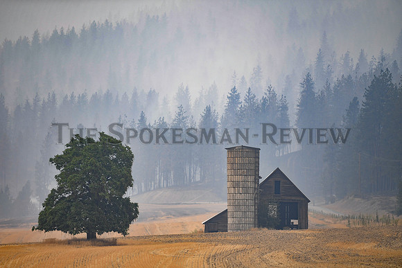 SRX_FORDCORKSCREWFIRE_004_tt