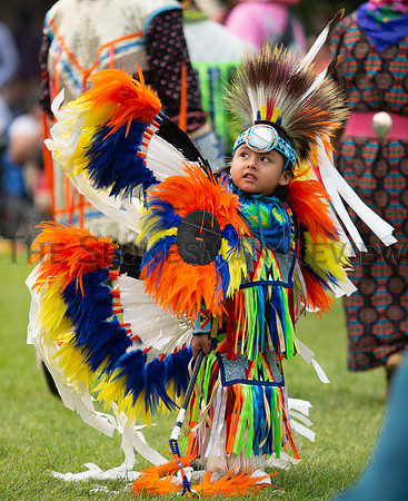 SRX Gathering at the Falls Powwow 13