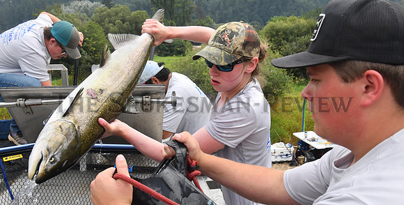 SRX SALMON RELEASE 6