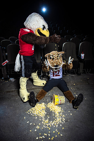 MASCOTS