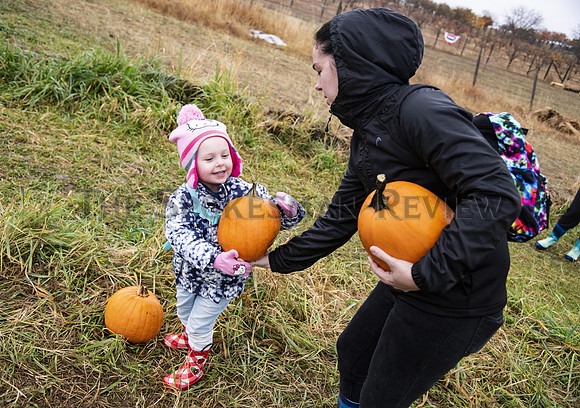 SRX_PUMPKINS 1