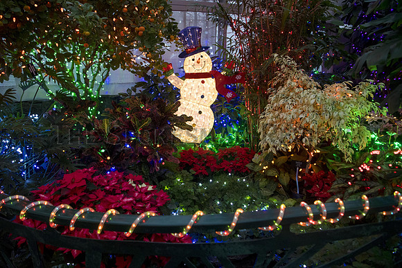 GAISER CONSERVATORY LIGHTS 4