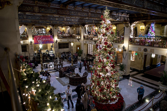 XMAS TREE ELEGANCE_