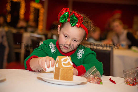 SRX GINGERBREAD 10