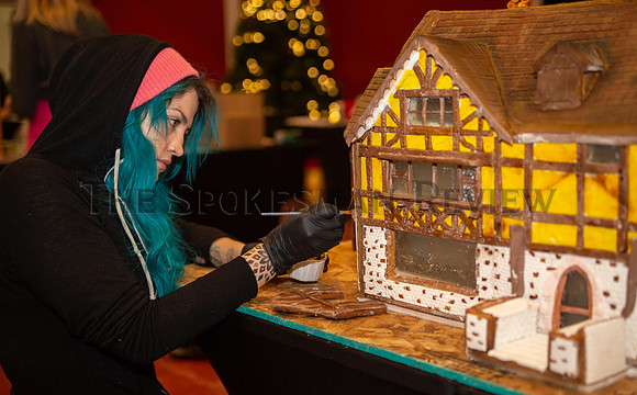 SRX GINGERBREAD 3