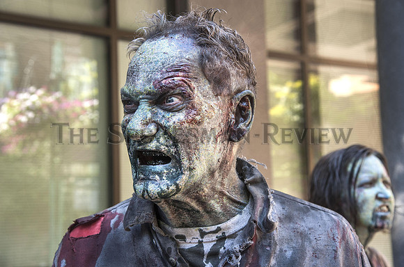 Z NATION