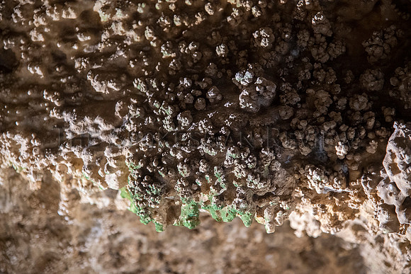 SRX GARDNER CAVE 24