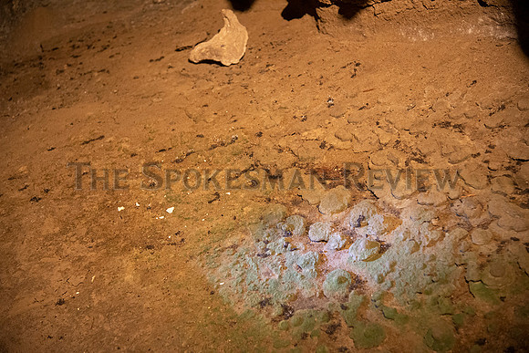 SRX GARDNER CAVE 18