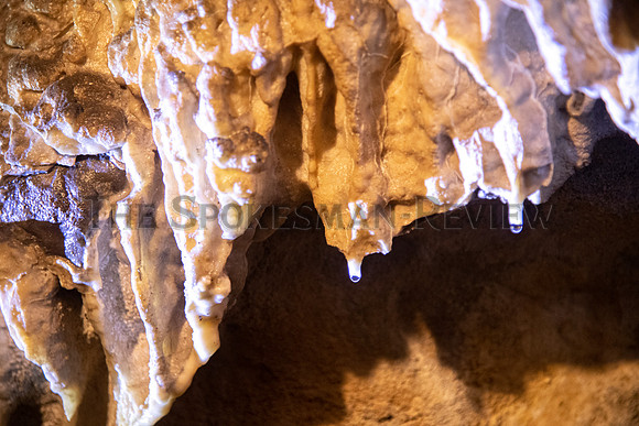 SRX GARDNER CAVE 19