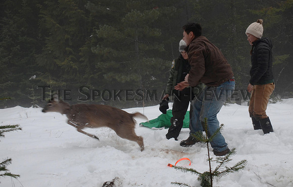 SRX_WOMEN_IN_WILDLIFE1