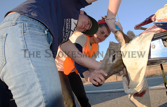 SRX_WOMEN_IN_WILDLIFE6