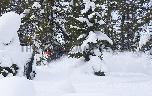 BACKOUNTY_SKIING