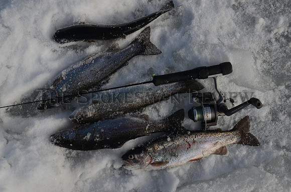 SRX_WINTER_FISH8