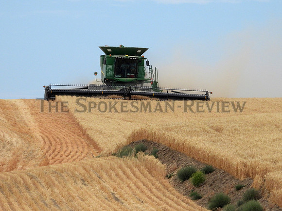 SRX WHEAT HARVEST KEVIN KLEIN 6