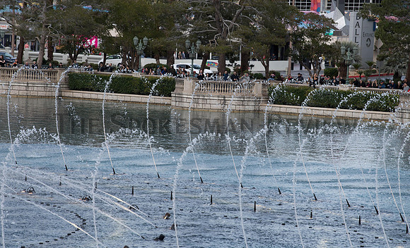 SRX_Bellagiofountain_007_tt