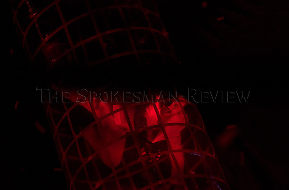 SRX_FuerzaBruta_011_tt