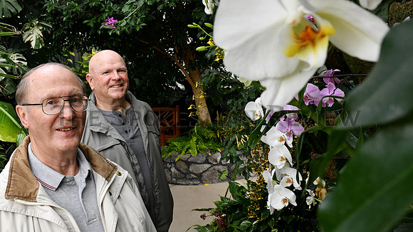 SRX_ORCHID_001_TT