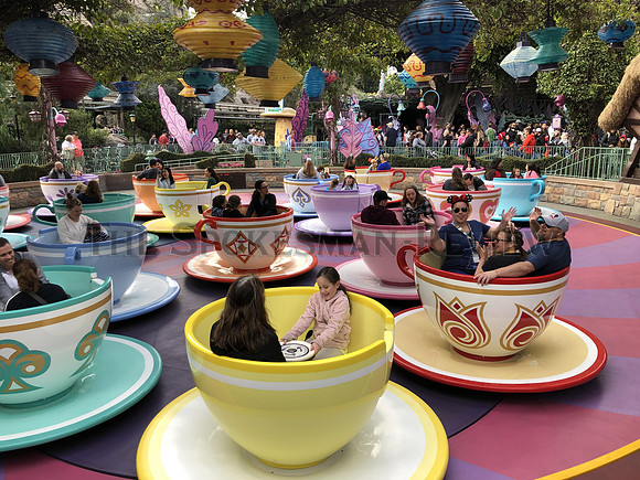 SRX_DISNEYLAND 3