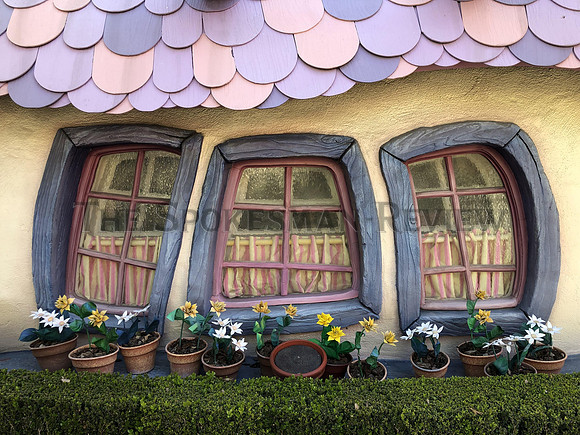 SRX_DISNEYLAND 7