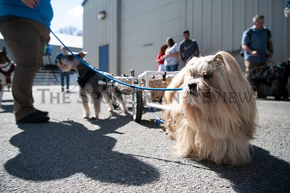 SRX NORTHWEST PET EXPO 2019 2