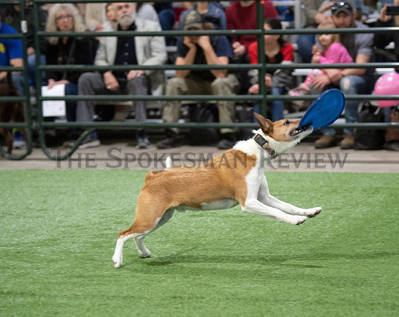 SRX NORTHWEST PET EXPO 2019 8