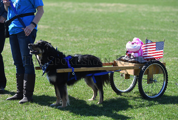 SRX NORTHWEST PET EXPO 2019 9