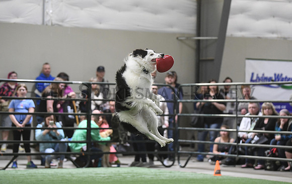 SRX NW PET EXPO 2019