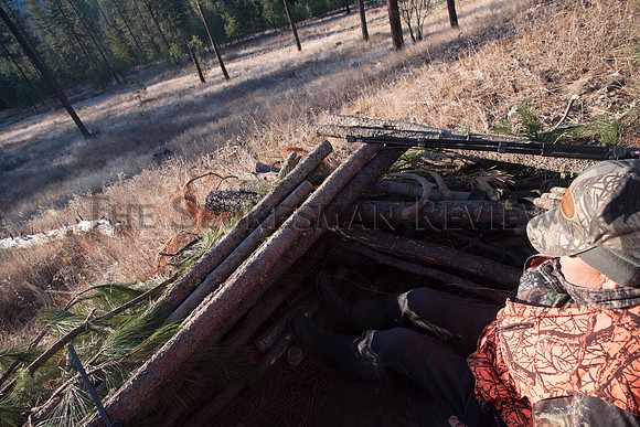 LEARNING_TO_HUNT2