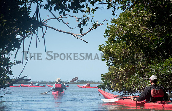 SRX_ROW_CUBA8