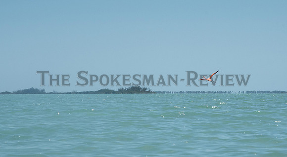 SRX_ROW_CUBA10