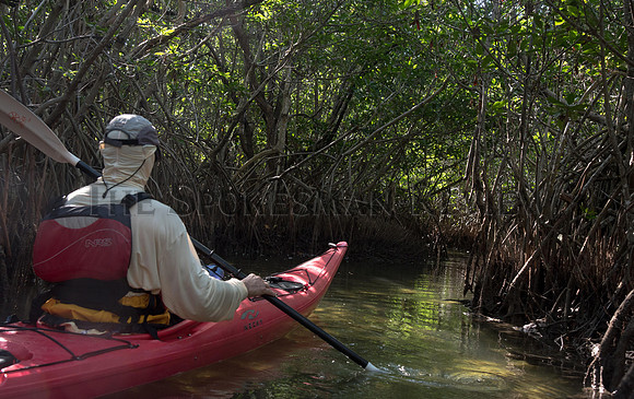 SRX_ROW_CUBA2