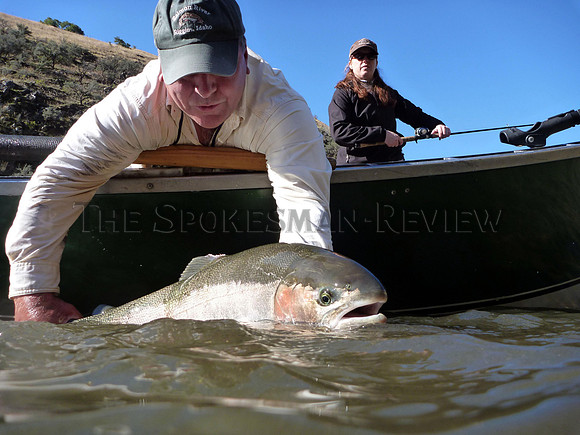 STEELHEAD CATCH