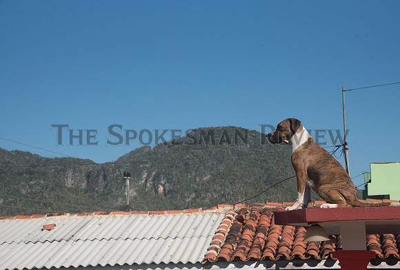 SRX_CUBA_TRAVEL14
