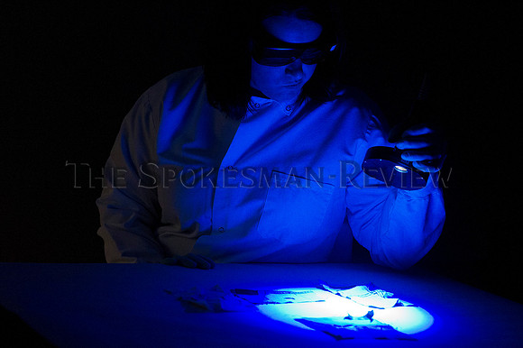 srx crime lab 2