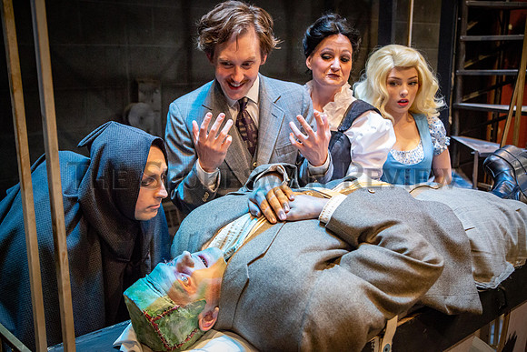 YOUNG FRANKENSTEIN 3