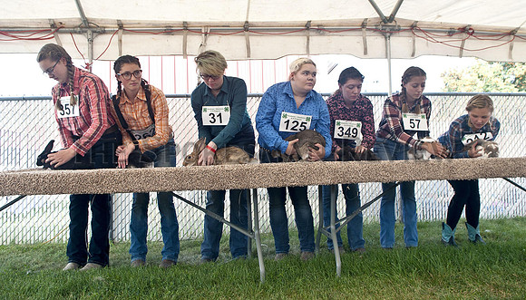 NORTH IDAHO FAIR  7